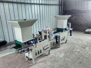 氣吸針頭式全自動(dòng)蔬菜花卉種子穴盤(pán)精量播種機(jī) 現(xiàn)代精準(zhǔn)農(nóng)業(yè)的高效利器